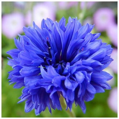 ���� ������ ������ ������ ��� �������� 30 ��. ������ ������