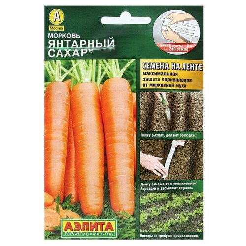 ���� ������. ������� 