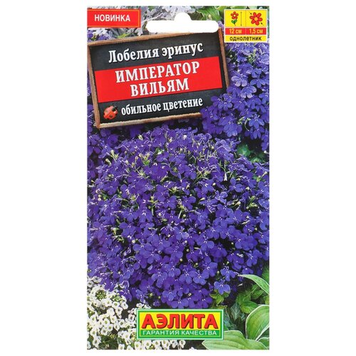 ���� ������ ������ ������� 