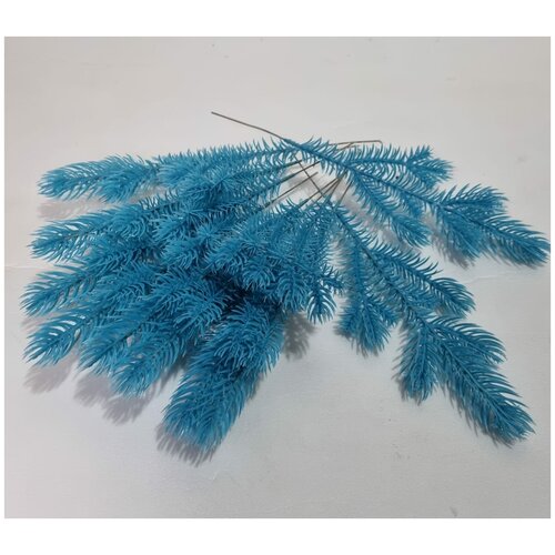 ���� ����� ������ 6 ���. �������. �� ������������� �����. ������ 27 ��. 10 �� ������ ������