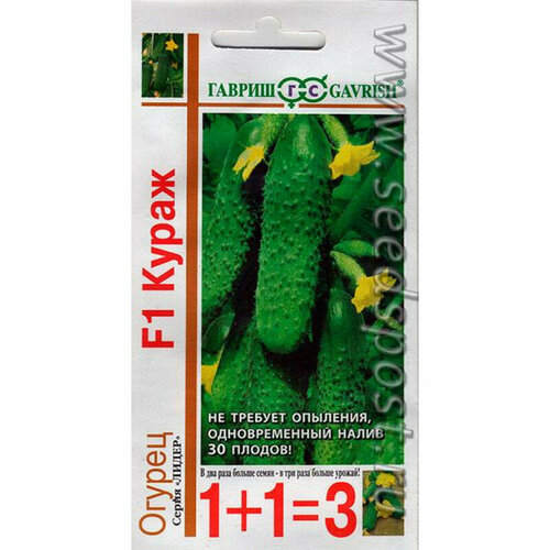 ���� ������ ������ ����� F1 (1 ��-20 �����) ������ 1+1=3 ������ ������