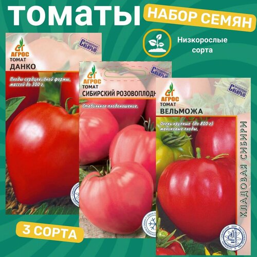 ���� ����� ����� ����������� ������� / ��������� ������������� , ��������, ����� ������ ������