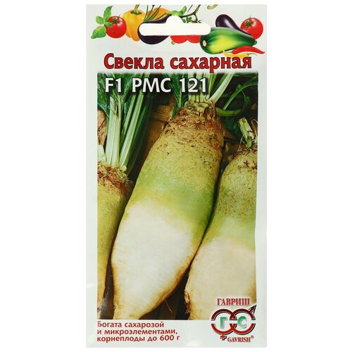 ���� ������ ������ 