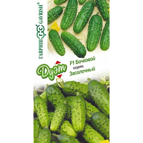 ���� ������ ������ �������� F1 0,5�+���������� 0,5� ������ (������) ���� ������ ������