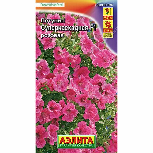 ���� ������ ������� �������������� F1 �������, ����������, (������) 7�� PanAmerican ������ ������