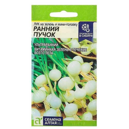 ���� ������ ��� �� ������ � ����-������� 