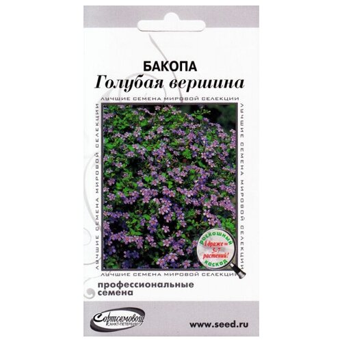 ���� ������ ������� �������, 3 ����� ������ ������