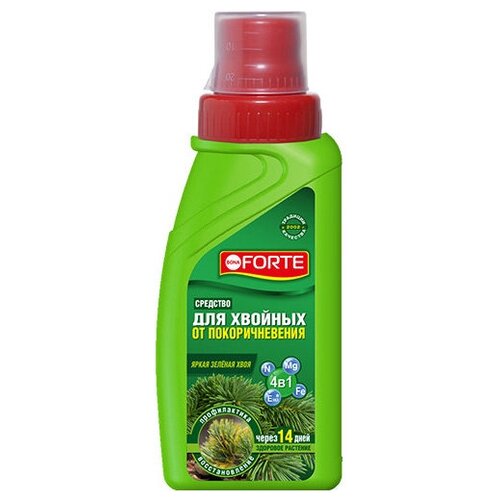 ���� �������� ��� ������� �� �������������� 285�� Bona Forte ������ ������