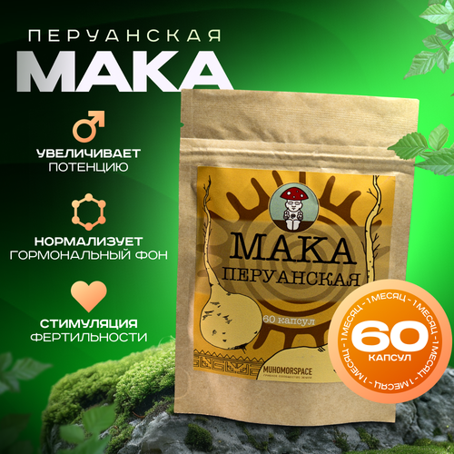 ���� ��������������� ������ MUHOMORSPACE ���������� ����, �������� � ��������, ����� �� �����, 60 ������ �������� � ������ ������ ������