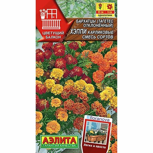 ���� ������ �������� ����� ����������, ����� ������, ����������, (������) 7�� �������� ������ ���. Floranova ������ ������