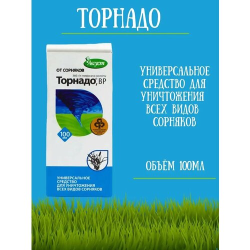 ���� �������� �� �������� ������� 100 �� ������ ������