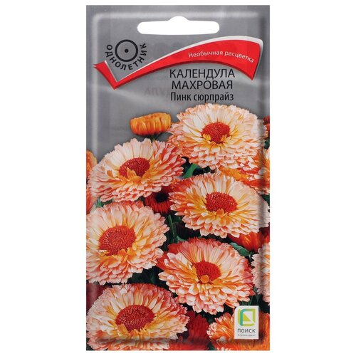 ���� ������ ������ ��������� �������� ���� �������� 0,4 � ������ ������