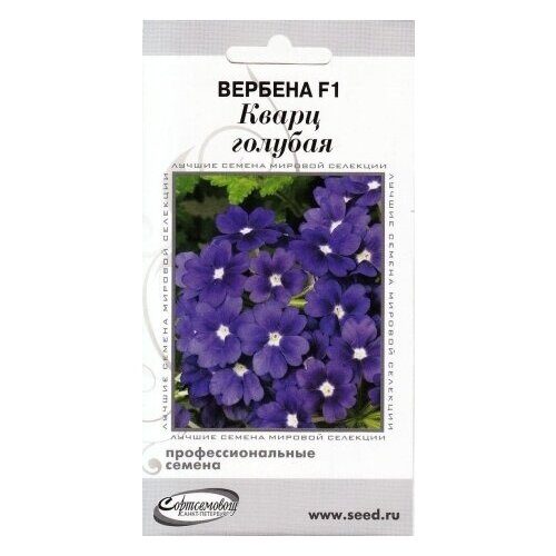 ���� ������� F1 �����, �������, 8 ����� ������ ������