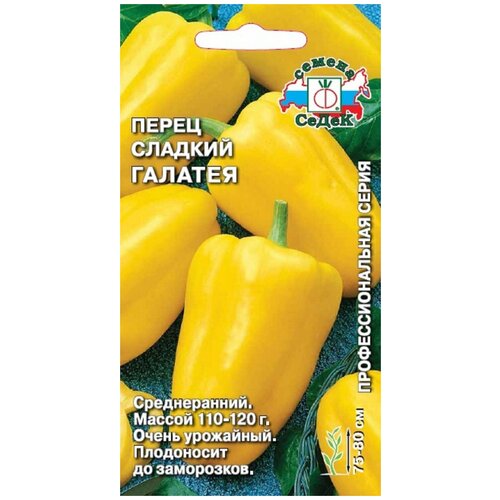 ���� ������ ����� ������� ������ ������