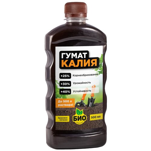 ���� ��������� ���-�������� ����� �����, 0.5 �, 500 �, 1 ��. ������ ������