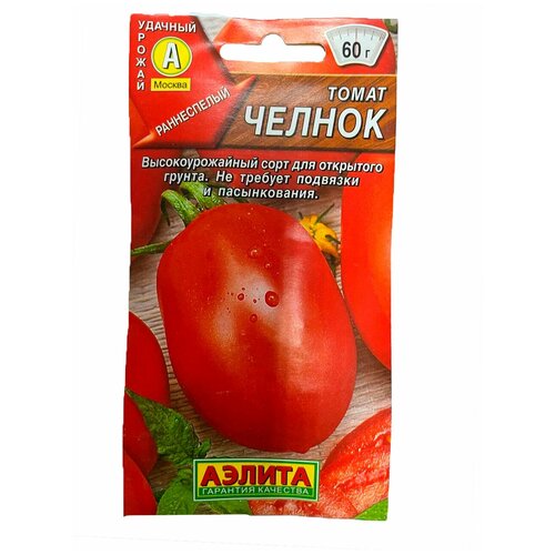 ���� ������ ������ 