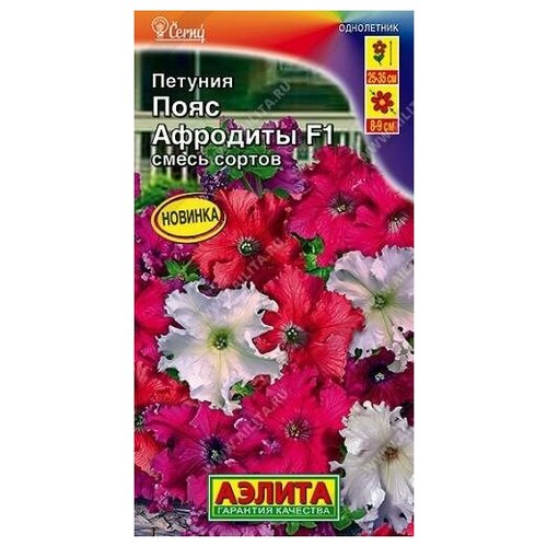 ���� ������. ������� ��������������� 