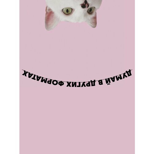 ���� �������� �������� �������� �� ���� ������ ������ ������