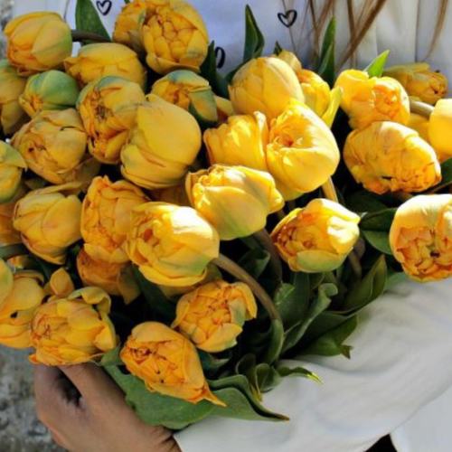 ���� �������� �������� DOUBLE TROUBLE ( 5 �� ) ������ ������