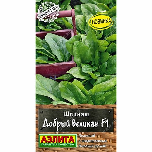 ���� ������ ������ ������ ������� F1 (������) 1� �����-������ ������ ������