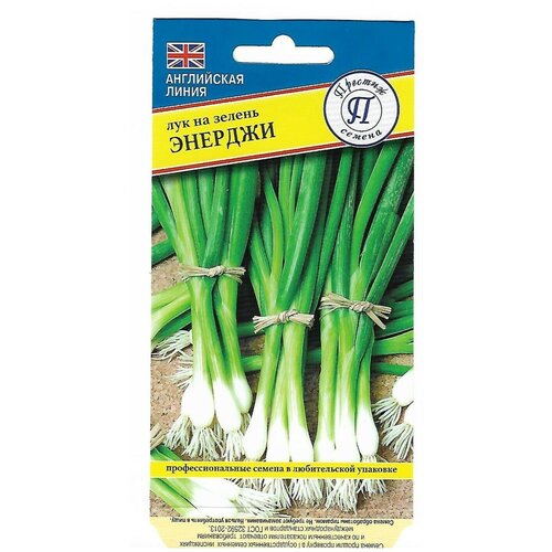 ���� ������ ��� �� ������ ������� ������ ������