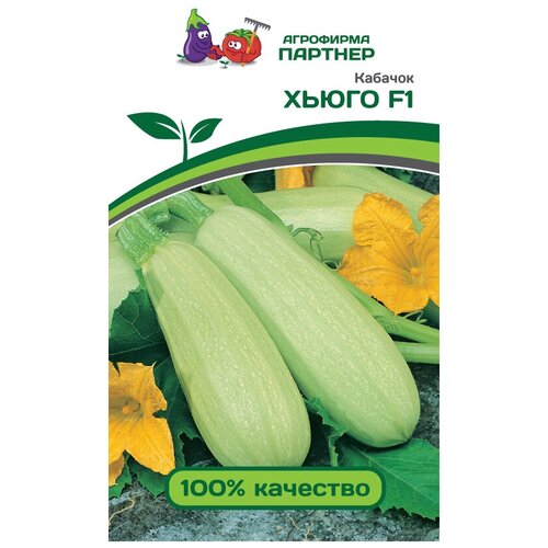 ���� ������� ����� F1 ������ ������ ������