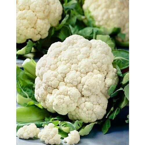 ���� ������ ������� ������� �������� ������ 0,25� ������ (��������� ������) ������ ������