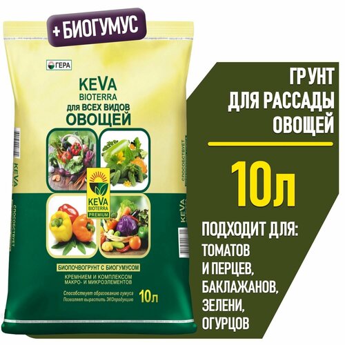  10 .       KEVA (     , , )   -     , -, 