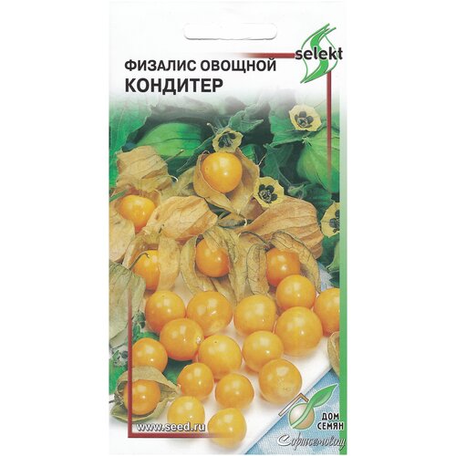 ���� ������� ��������, 240 ����� ������ ������