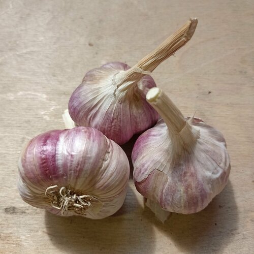 ���� ������ ������ �����, ��������� ���������������� ������ ��������, 3 �� ������� ������ ������