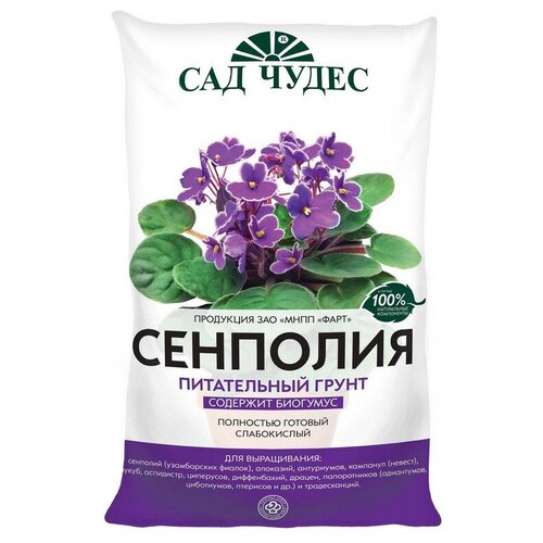 ���� ����� �������� 5 � ����������� ����������� ����� ������ ������