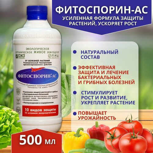 ���� ���������� �� �� ������� �������� 500 �� ������ ������