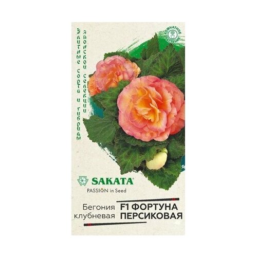 ���� ������ ������� ������� ���������� F1 ������ ��������� 4 �� ������ ������