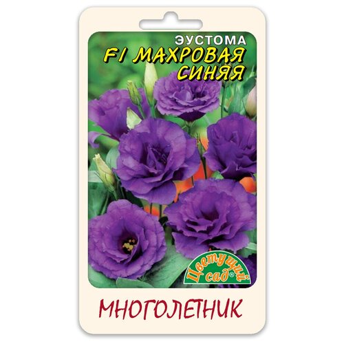 ���� ����� ������� (���������) F1 �������� ����� (������ �������� ��� 5 ��. � ������) ������ ������