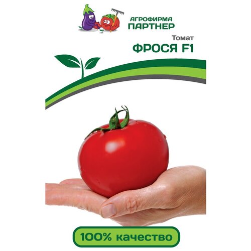 ���� ������ ������ 