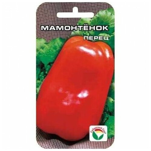 ���� ����� ������� ���������� 15�� ��������� ��� ������ ������