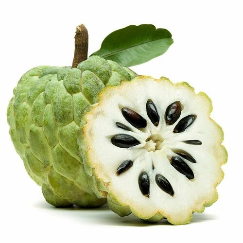      (Annona squamosa)  5   