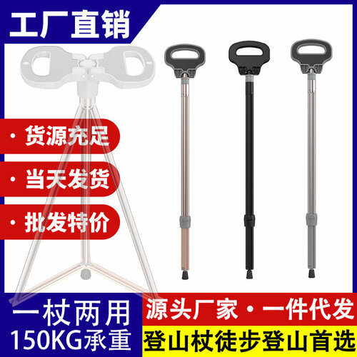 ���� �������-�������, ���������, ������ ������ ������