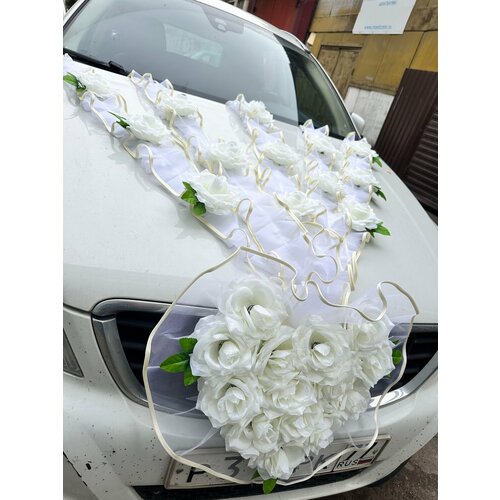 ���� ����� ��� ���������� ���� 