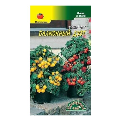 ���� ������ �������� ��� 