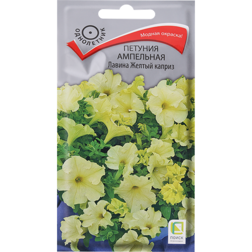 ���� ������ ����� ������� ��������� ������ ������ ������, 10�� ������ ������