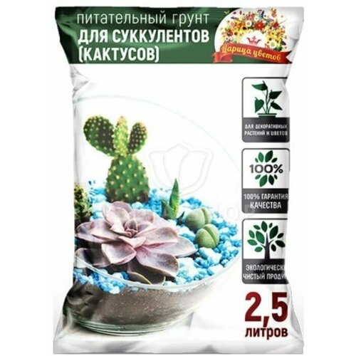 ���� ����� ��� �������� � ����������� 2,5� ������ ������. ������ ������