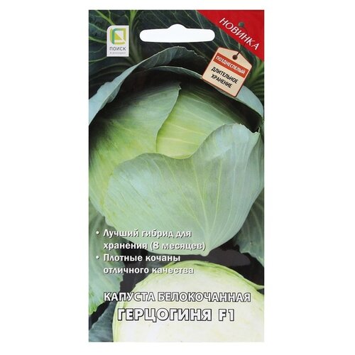 ���� ������ ����� ������� ��������� F1 ������ ������