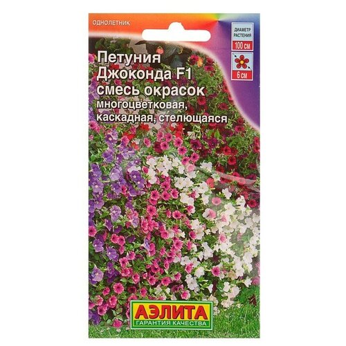 ���� ������ ������ ������� �������� F1 ��������, ����� �������, 7�� ������ ������