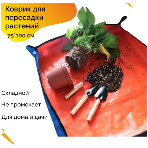 ���� ������ ��� ��������� �������� ����, �� ����, �� �������, ��������, �������, �����������, ��������, ������� ��������� 75*100 ��, 1 ��, ������ ������