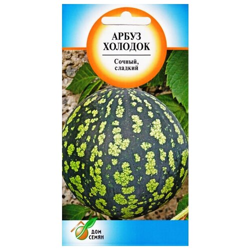 ���� ����� �������, 10 ����� ������ ������