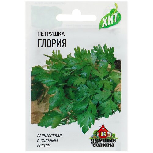 ���� ������ �������� �������� 