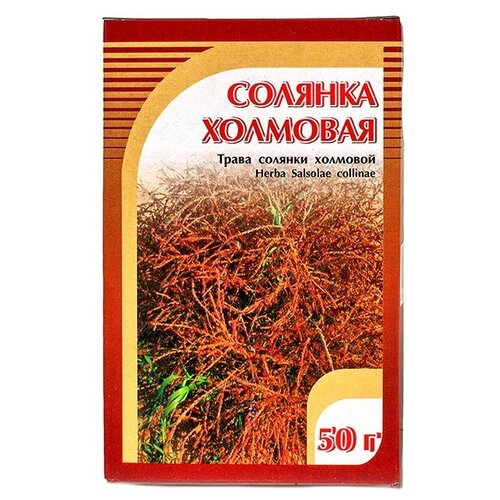 ���� ����� ����� ������� �������� (���), 50 � ������ ������