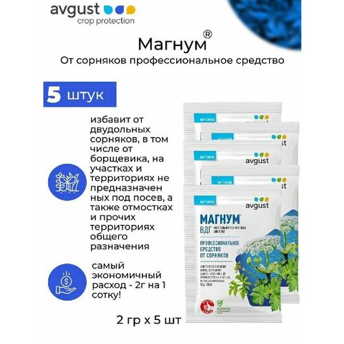 ���� �������� �� �������� AVGUST ������, �������, ��� 10 �, 5 ���� ������ ������