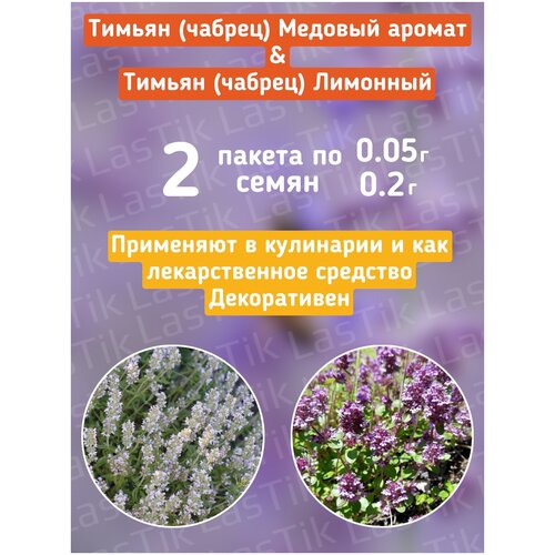 ���� ������ (������) ������� ������ � �������� ������ 2 ������ �� 0.05� � 0.2� ������ ������